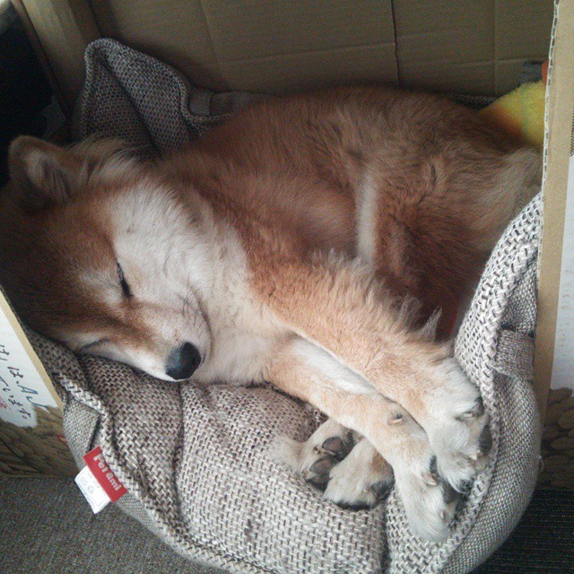 法甲青训营引入动态认知测评工具评估战术理解力