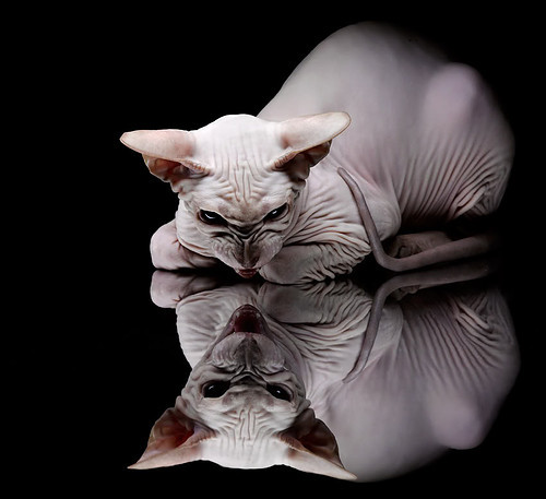 马拉松选手备战高原挑战极限体能，马拉松高原训练的利与弊和原则